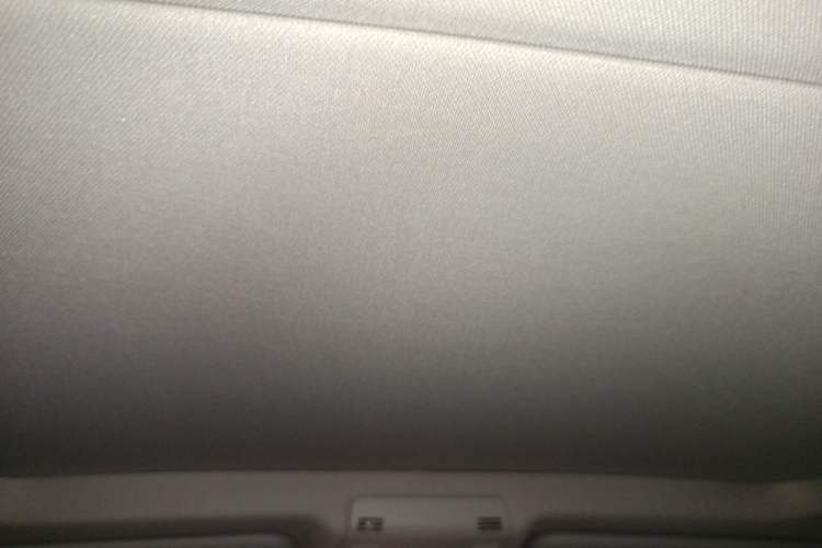 Used BMW X1 2015 sDrive18i Leading Edition Headliner