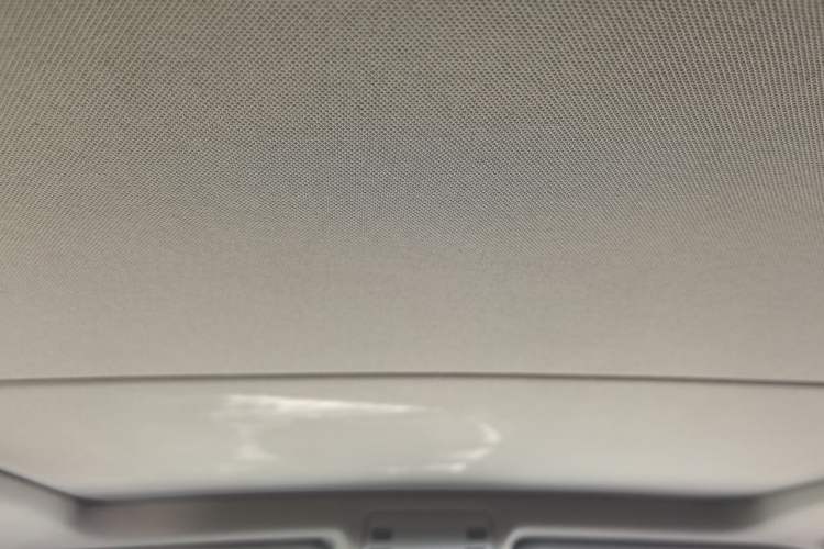 Used BMW X1 2015 sDrive18i Leading Edition Headliner