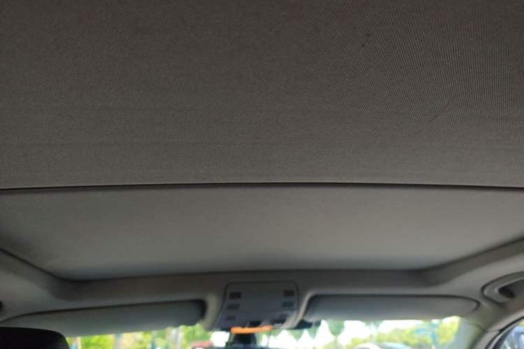 Used BMW X1 2015 sDrive18i Leading Edition Headliner