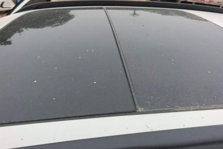 Used BMW X1 2015 sDrive18i Fashion Upgrade Edition Roof