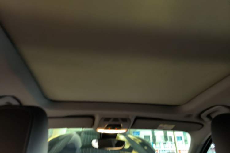 Used BMW X1 2016 xDrive20Li Luxury Model Headliner