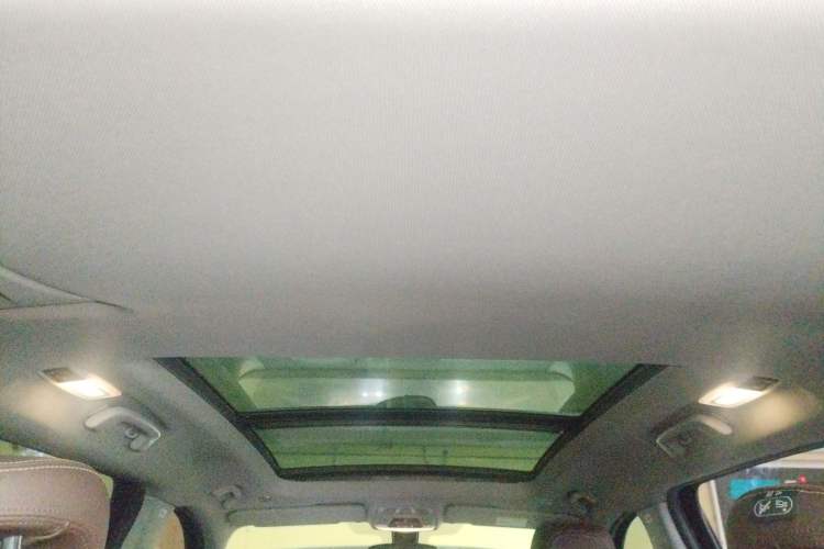 Used BMW X1 2016 sDrive20Li Luxury Model Headliner