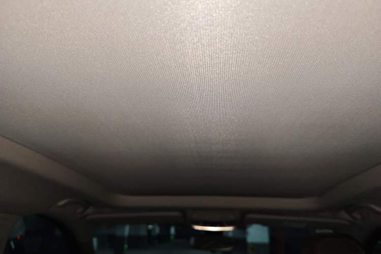 Used BMW X1 2016 xDrive20Li Luxury Model Headliner