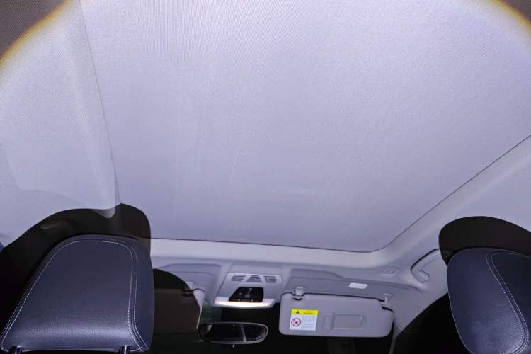 Used BMW X1 2016 xDrive20Li Luxury Model Headliner