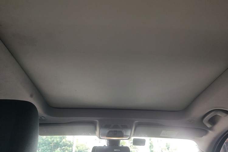 Used BMW X1 2016 sDrive18Li Premium Edition Headliner