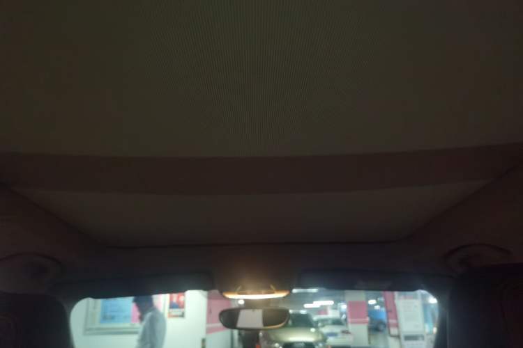 Used BMW X1 2016 sDrive20Li Luxury Model Headliner