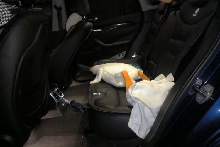 Used BMW X1 2016 sDrive18Li Premium Edition Left Rear Seat
