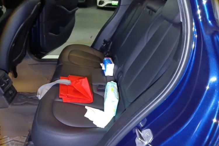Used BMW X1 2016 sDrive18Li Premium Edition Left Rear Seat