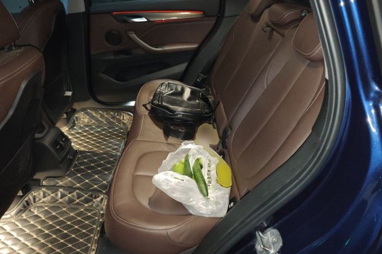 Used BMW X1 2016 xDrive20Li Luxury Model Left Rear Seat