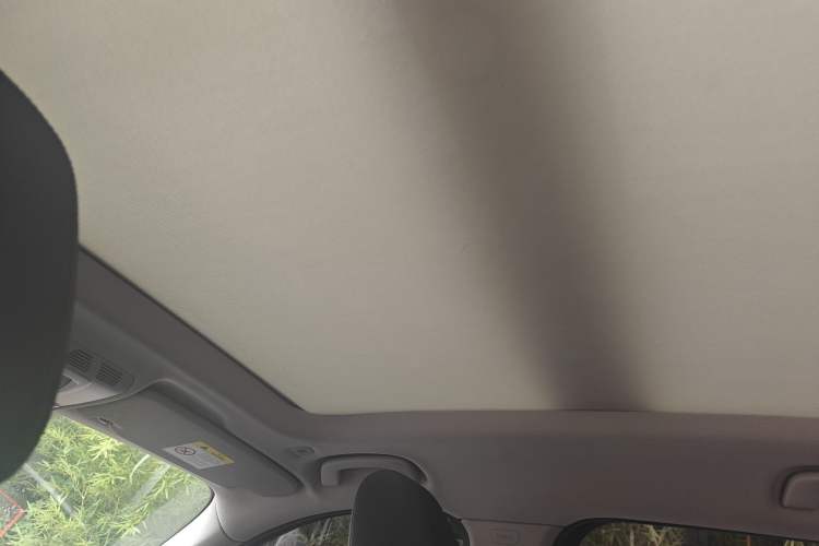 Used BMW X1 2016 sDrive18Li Premium Edition Headliner