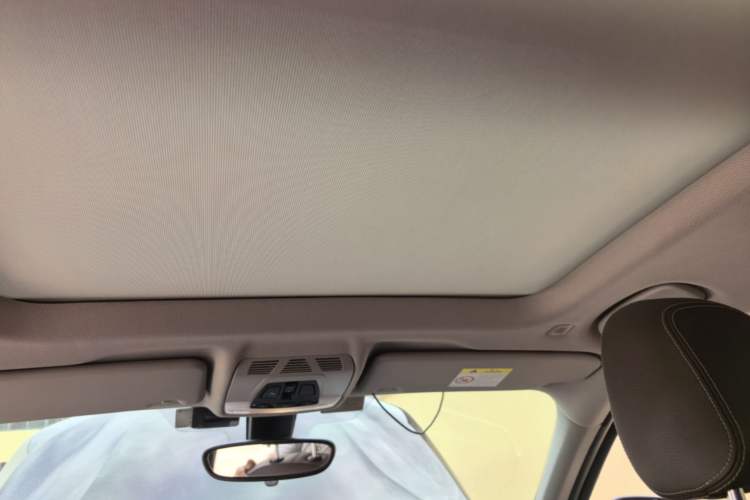 Used BMW X1 2016 sDrive20Li Luxury Model Headliner