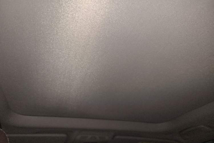 Used BMW X1 2016 sDrive20Li Luxury Model Headliner