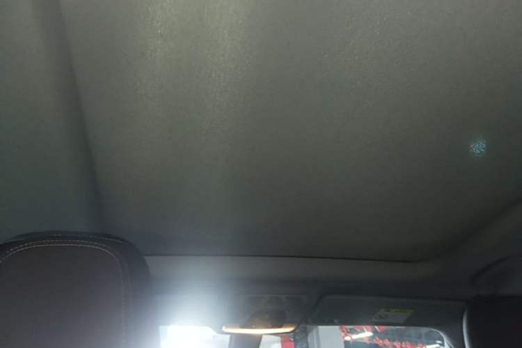 Used BMW X1 2016 sDrive20Li Luxury Model Headliner