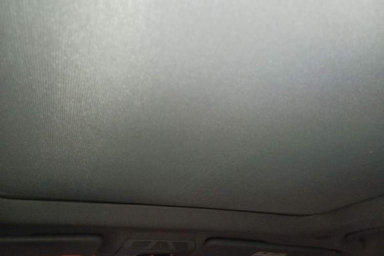 Used BMW X1 2016 sDrive20Li Luxury Model Headliner