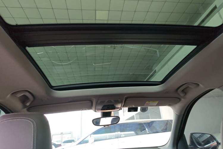 Used BMW X1 2016 sDrive20Li Luxury Model Headliner