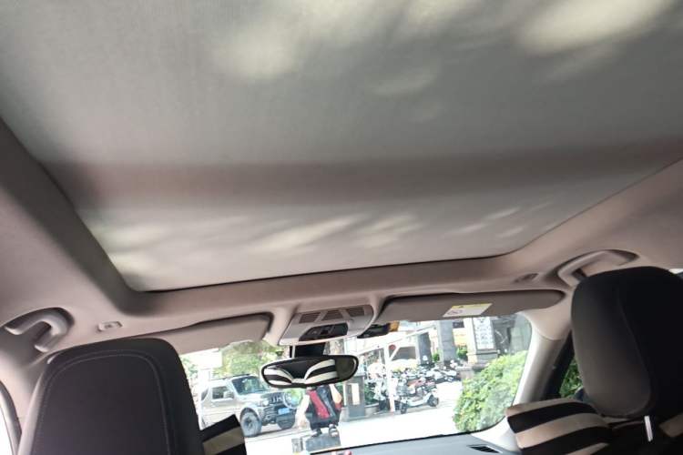 Used BMW X1 2016 sDrive20Li Luxury Model Headliner