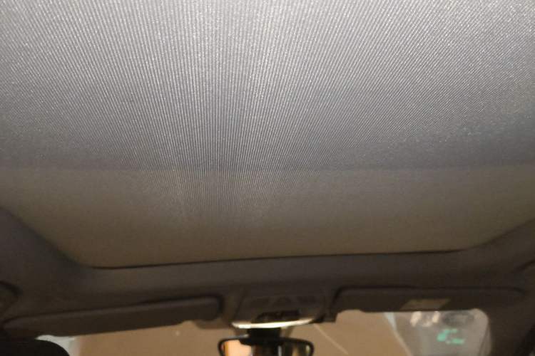 Used BMW X1 2016 sDrive18Li Premium Edition Headliner