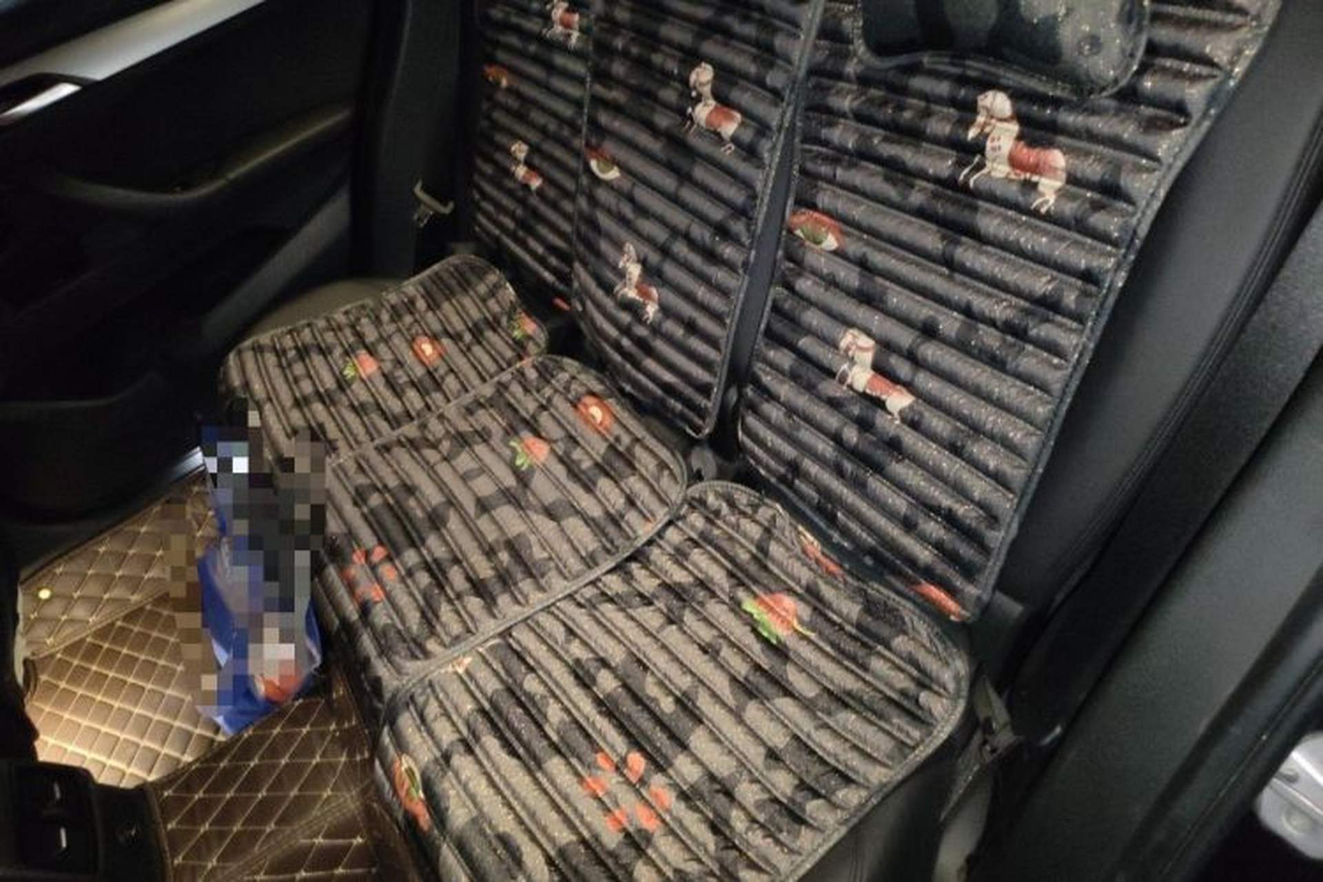 Used BMW X1 2016 sDrive18Li Fashion Model Left Rear Seat