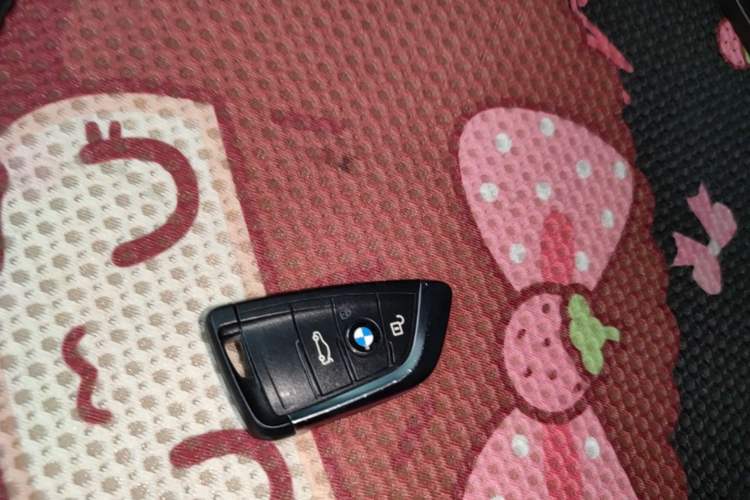 Used BMW X1 2016 sDrive20Li Luxury Model Vehicle Key