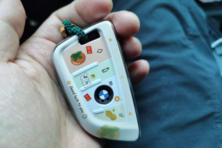 Used BMW X1 2016 sDrive18Li Fashion Model Vehicle Key