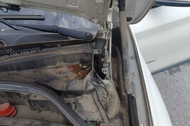 Used BMW X1 2016 sDrive18Li Fashion Model Engine Bay Left