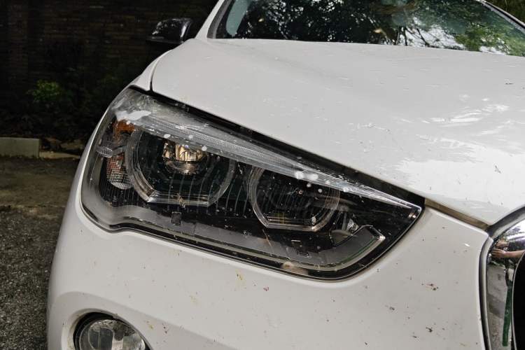 Used BMW X1 2016 sDrive20Li Luxury Model Exterior 6