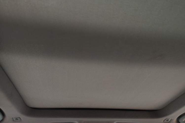 Used BMW X1 2016 sDrive18Li Luxury Model Headliner