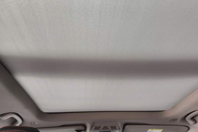 Used BMW X1 2016 sDrive20Li Luxury Model Headliner