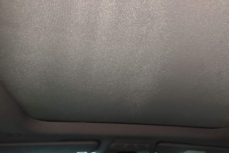 Used BMW X1 2016 sDrive20Li Luxury Model Headliner