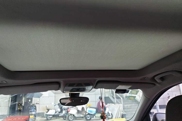 Used BMW X1 2016 sDrive20Li Luxury Model Headliner