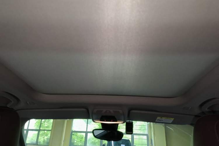 Used BMW X1 2016 xDrive20Li Luxury Model Headliner