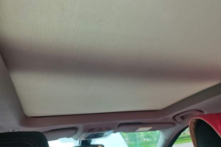 Used BMW X1 2016 sDrive20Li Luxury Model Headliner