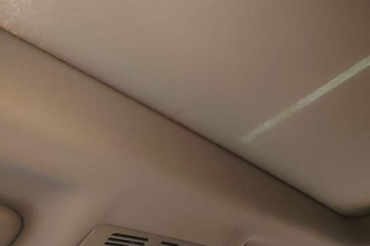 Used BMW X1 2016 sDrive20Li Luxury Model Headliner