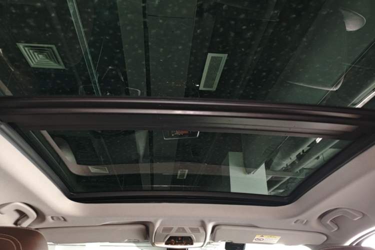 Used BMW X1 2016 sDrive20Li Luxury Model Headliner