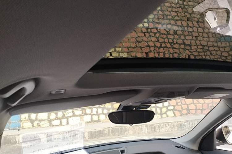 Used BMW X1 2016 sDrive20Li Luxury Model Headliner