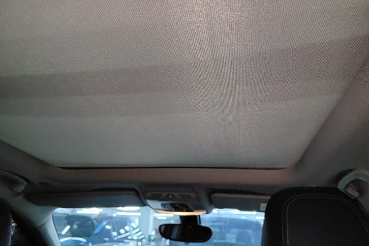 Used BMW X1 2016 sDrive20Li Luxury Model Headliner