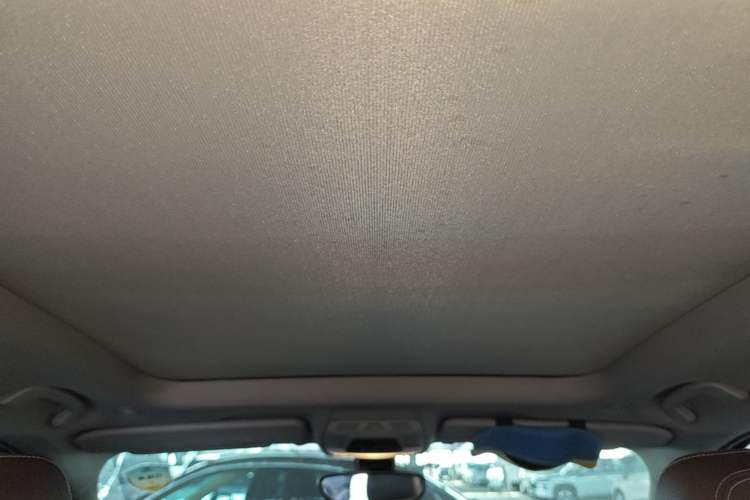 Used BMW X1 2016 xDrive20Li Luxury Model Headliner