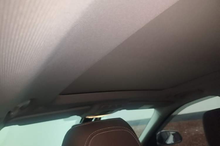 Used BMW X1 2016 sDrive20Li Luxury Model Headliner
