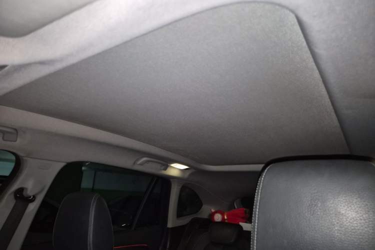 Used BMW X1 2016 sDrive20Li Luxury Model Headliner