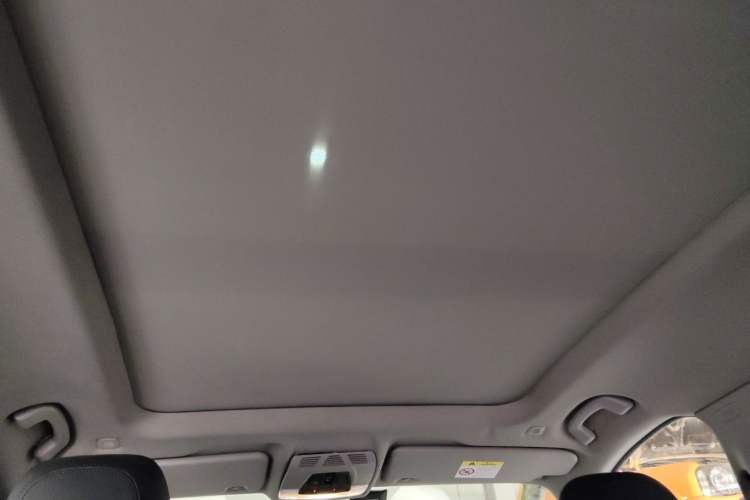 Used BMW X1 2016 sDrive18Li Premium Edition Headliner