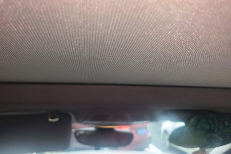 Used BMW X1 2016 sDrive20Li Luxury Model Headliner