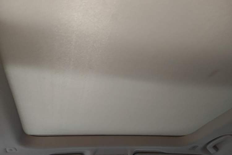 Used BMW X1 2016 sDrive20Li Luxury Model Headliner