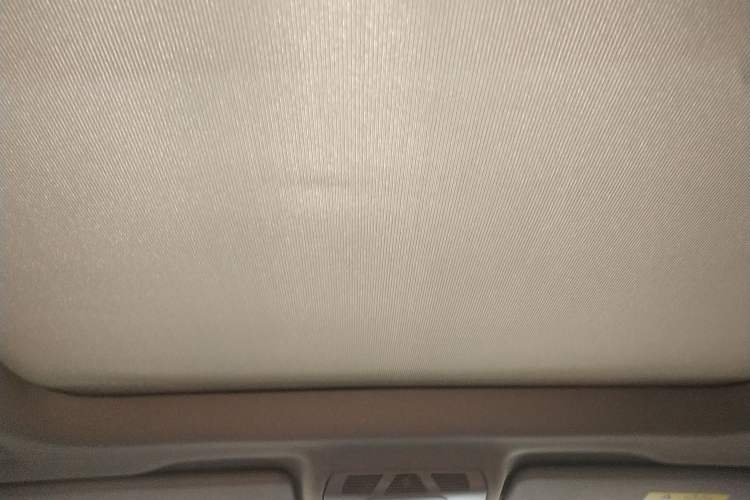 Used BMW X1 2016 sDrive18Li Premium Edition Headliner