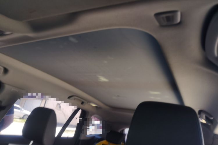 Used BMW X1 2016 sDrive18Li Premium Edition Headliner