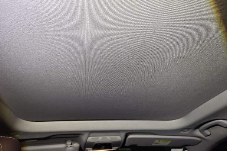 Used BMW X1 2016 sDrive20Li Luxury Model Headliner