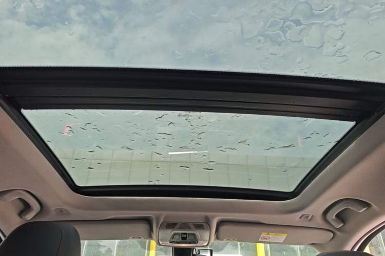 Used BMW X1 2016 xDrive20Li Luxury Model Headliner