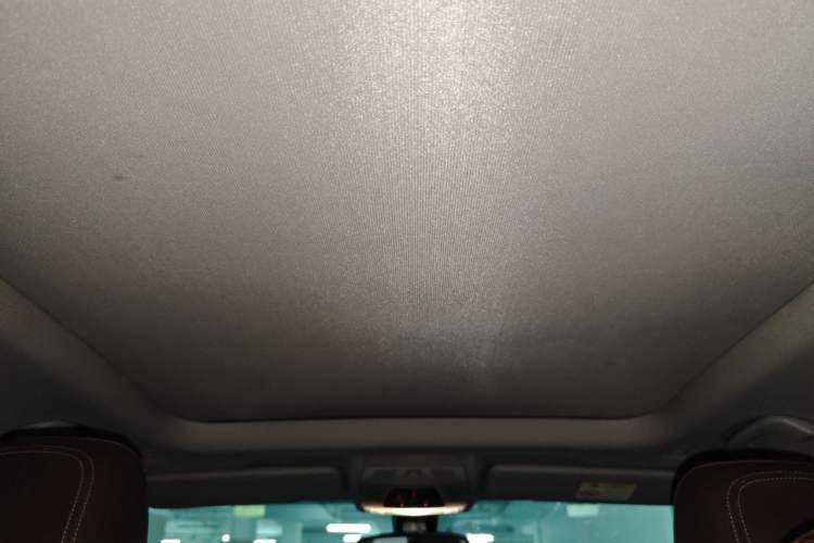 Used BMW X1 2016 sDrive18Li Luxury Model Headliner
