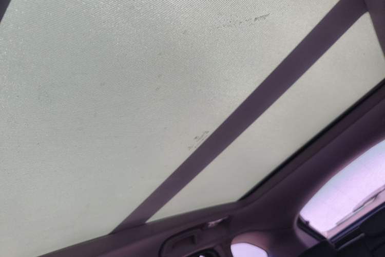 Used BMW X1 2016 sDrive20Li Luxury Model Headliner