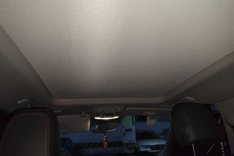 Used BMW X1 2016 sDrive20Li Luxury Model Headliner