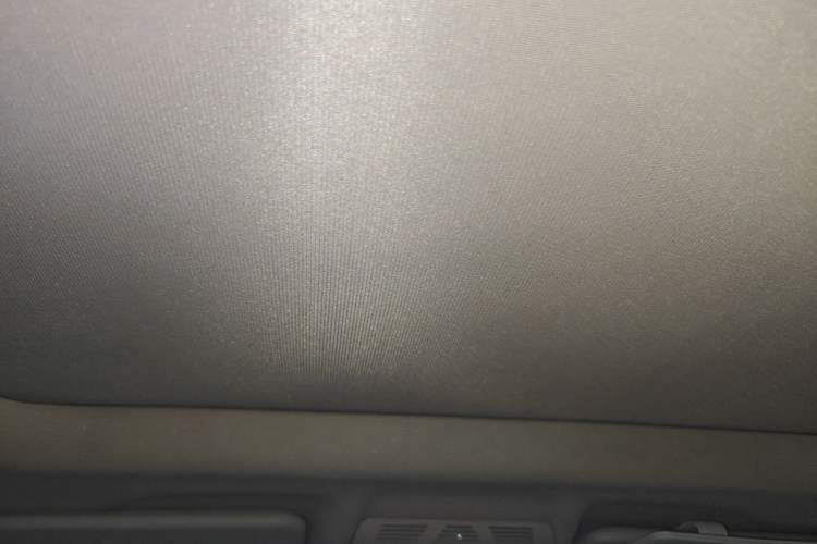 Used BMW X1 2016 sDrive18Li Premium Edition Headliner